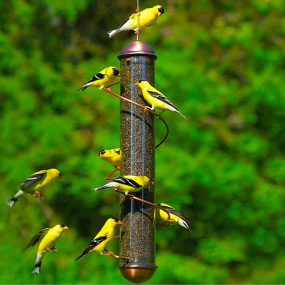 Cooper Spiral Nyler Goldfinch Bird Feeder New 🍃